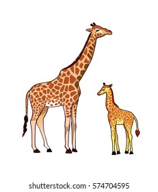 Giraffe with kid, isolated on white background.