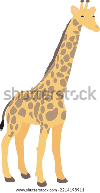 The giraffe is a\
large African-hoofed\
mammal