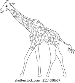 9,013 Giraffe line drawing Images, Stock Photos & Vectors | Shutterstock