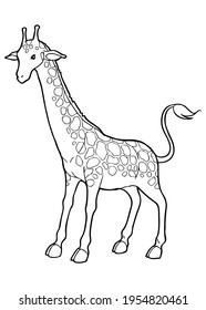 giraffe line vector illustration,
isolated on white background.top view