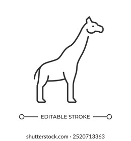 Giraffe linear icon. Long neck tall animal. African fauna. Wildlife. Savannah animal. Herbivore wild animal. Thin line illustration. Contour symbol. Vector outline drawing. Editable stroke