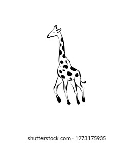 giraffe logo flat vector - Vector
