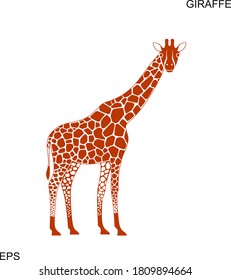 Giraffe logo. Isolated giraffe on white background