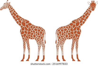 Giraffe logo. Isolated giraffe on white background