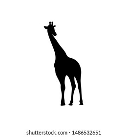 Giraffe Logo Vector. Animal Giraffe Logo Design Template Illustration