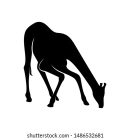 Giraffe Logo Vector. Animal Giraffe Logo Design Template Illustration