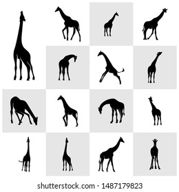 Giraffe Logo Vector. Animal Giraffe Logo Design Template Illustration