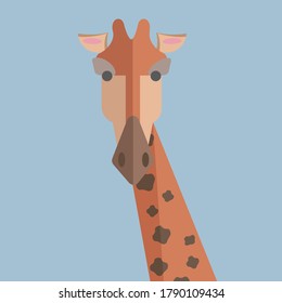 
Giraffe with a long neck and spots on the skin that looks