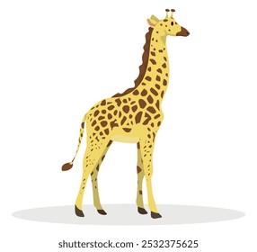 Giraffe with long neck in vector flat style, white isolated background.