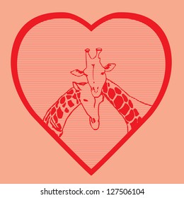 Giraffe love