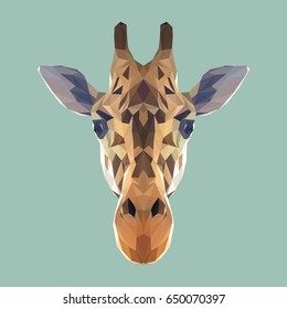 Giraffe low poly design. Triangle vector illustration.