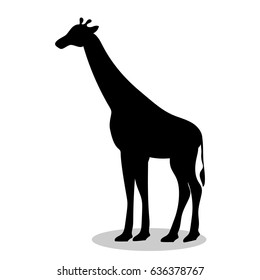 Giraffe Mammal Black Silhouette Animal