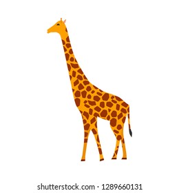 Giraffe mammal vector icon side view. Animal character cute brown safari symbol. Africa yellow herbivore