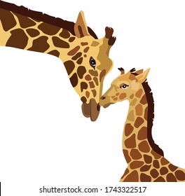 jirafa mamá con jirafa bebé sin fondo linda ilustración vectorial.