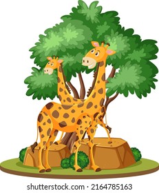 Giraffe in nature on white background illustration