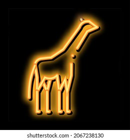 Giraffe Neon Light Sign Vector. Glowing Bright Icon Giraffe Sign. Transparent Symbol Illustration