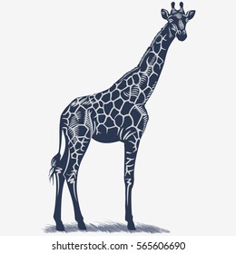 Giraffe on grass, in the blue color, illustration, vector