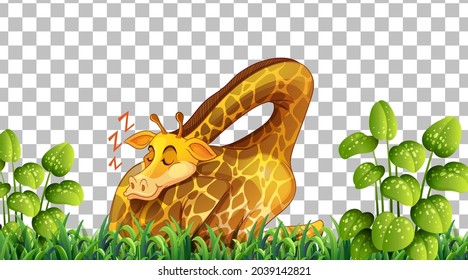 Giraffe on the grass field on transparent background illustration