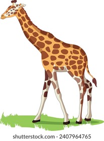 Giraffe on the Grass Vector Illustration