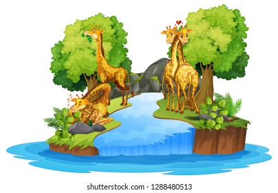 Giraffe on the isolated nature illustration