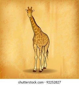 giraffe on the old paper