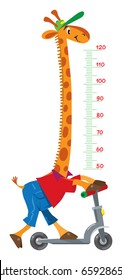 Giraffe on scooter. Meter wall or height chart