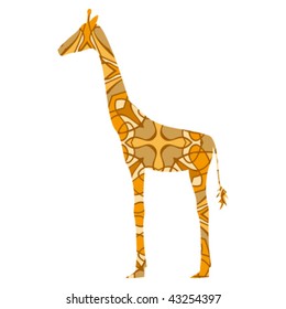 giraffe on white background