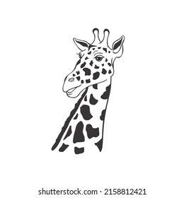Giraffe on white background. Vector Wild Animal. Safari.