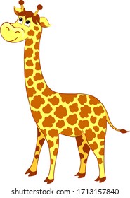 Giraffe on a white transparent background vector illustration, African animal, cartoon style. Suitable for decoration and design of children's clothing, room, books, ABC, notebooks, cards, Wallpaper.