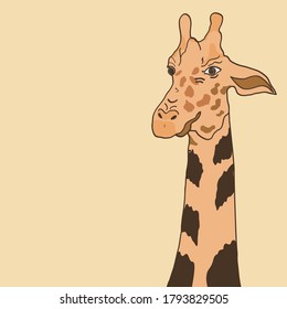 giraffe on a yellow background for design