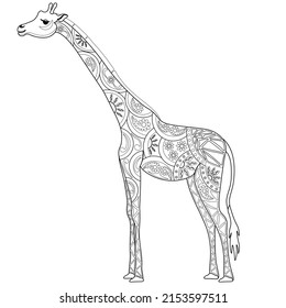 Giraffe and ornament. Colouring page, vector.