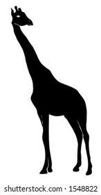 Giraffe outline