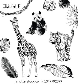 Giraffe, panda, tiger. Vector set of jungle animals and plants