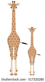 Giraffe. Parent and child.