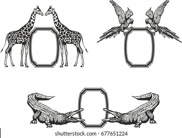 Giraffe, parrot, crocodile.