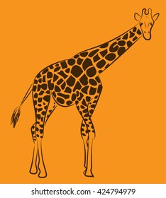 The giraffe pattern. Giraffe spotted.