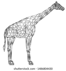 Giraffe polygonal lines illustration. Abstract vector giraffe on the white background