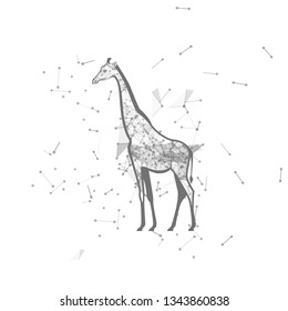 giraffe.  Polygonal wireframe giraffe silhouette. low poly vector illustrations on background of points and lines.