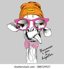 Giraffe portrait in a Hipster Hat and with glasses. Vector illustration.