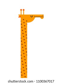 Giraffe portrait isolated. Wild animal. Beast long neck. Vector illustration
