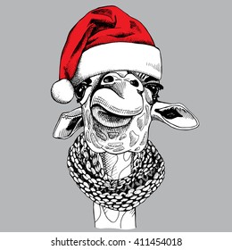 Giraffe portrait in a Santa's hat and in knitted scarf. Vector illustration.