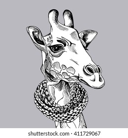 Giraffe portrait in a scarf on gray background. Vector illustration.
