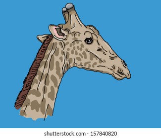 Giraffe profile sketch drawing african tallest animal