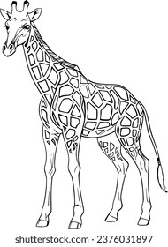 Giraffe Realistic Animal Hand Drawn Illustration Vector For Coloring Book