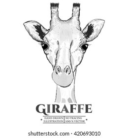 Giraffe realistic portrait sketch vector isolated on white