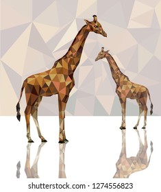 giraffe with reflection