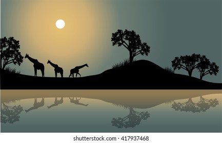 Giraffe in riverbank scenery at the night