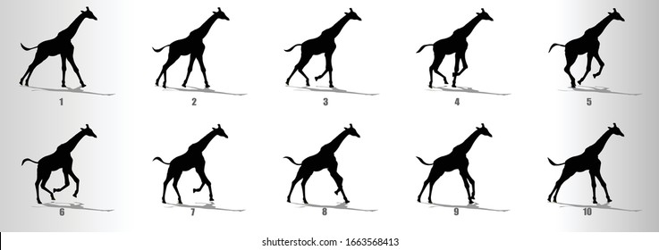 Giraffe Run cycle animation frames silhouette, loop animation sequence sprite sheet 