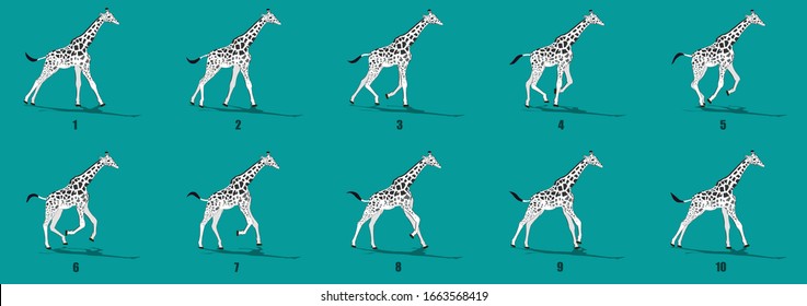 Giraffe Run cycle animation frames, loop animation sequence sprite sheet 