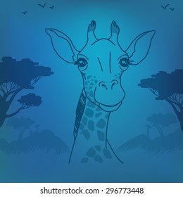 Giraffe in the savanna